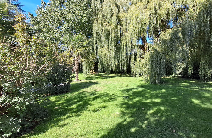 Maison Mauves Sur Loire 6 pièce(s) 131 m2 — photo 4