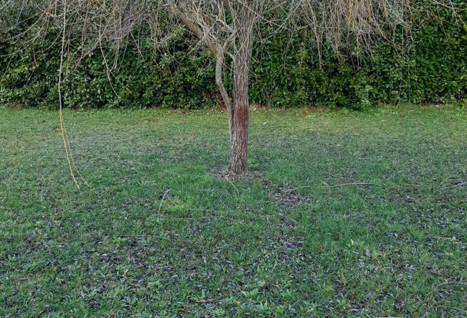Terrain viabilisé 1300 m2  — photo 1