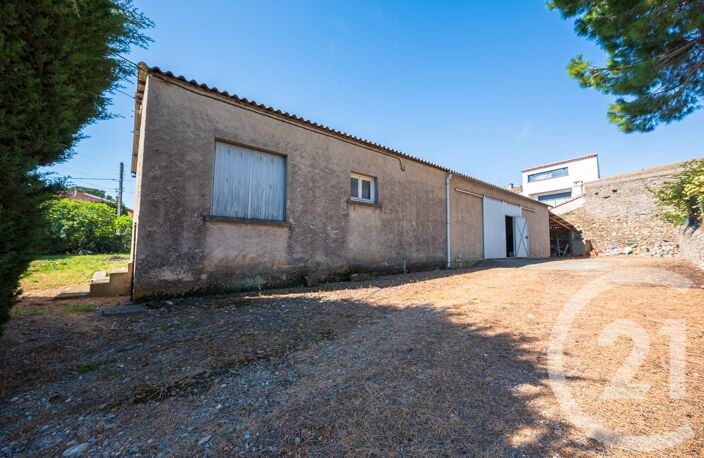 Vente maison 7 pièces 179 m² Peyriac-Minervois (11160) — photo 3