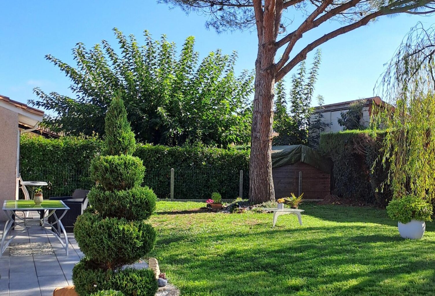 Pépite à Carbon blanc — photo 1
