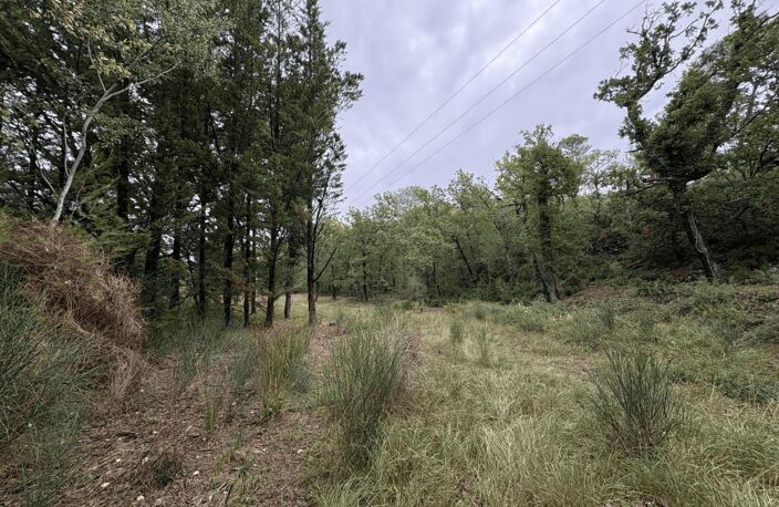 Vente maison 6 pièces 147 m² Meyrargues (13650) — photo 4