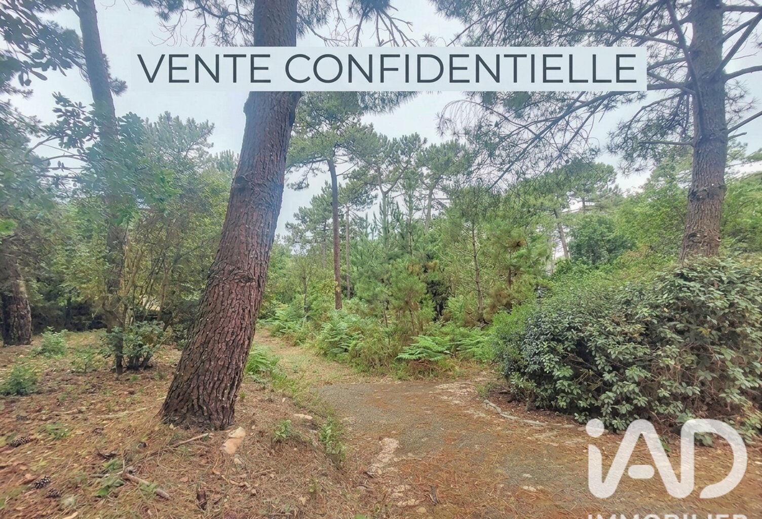 Vente Terrain 1 245 m&sup2; — photo 1