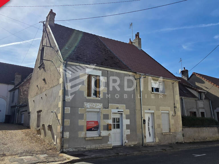 COSNE COURS SUR LOIRE : Maison de ville avec jardin — photo 1