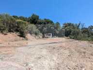 Terrain agricole — photo 3