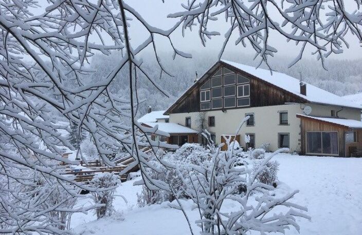 ÉTABLISSEMENT DE CARACTÈRE AU CUR DES VOSGES — photo 3