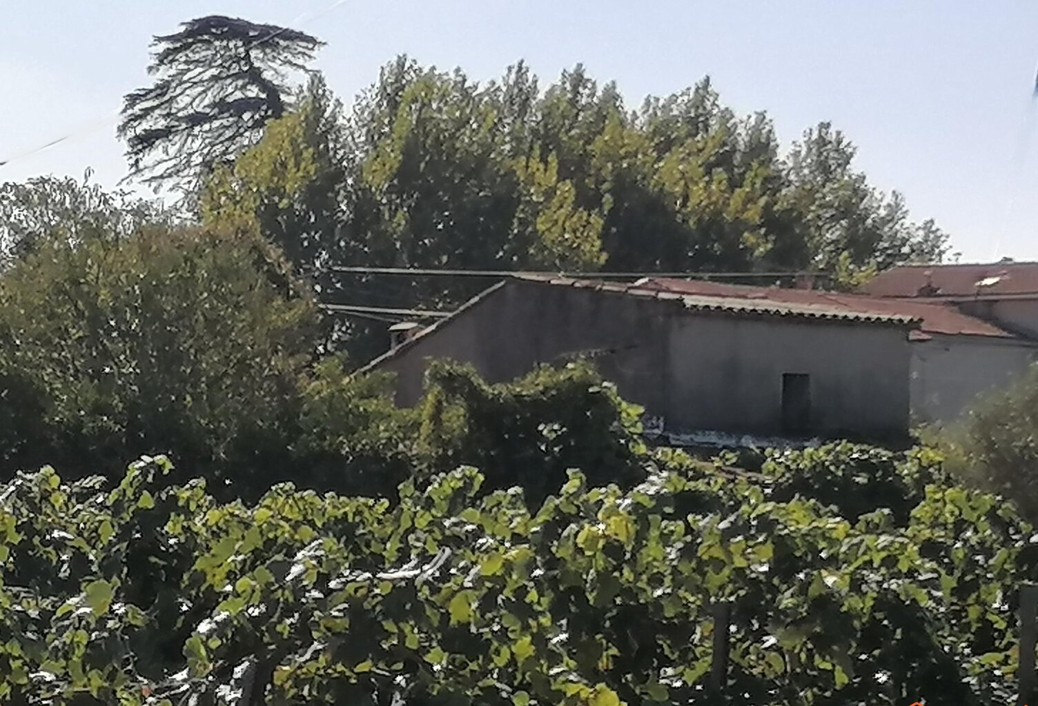 Joli bastidon au cœur des vignes à restaurer — photo 1