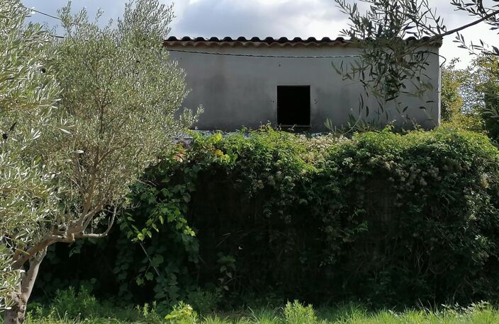 Joli bastidon au cœur des vignes à restaurer — photo 3