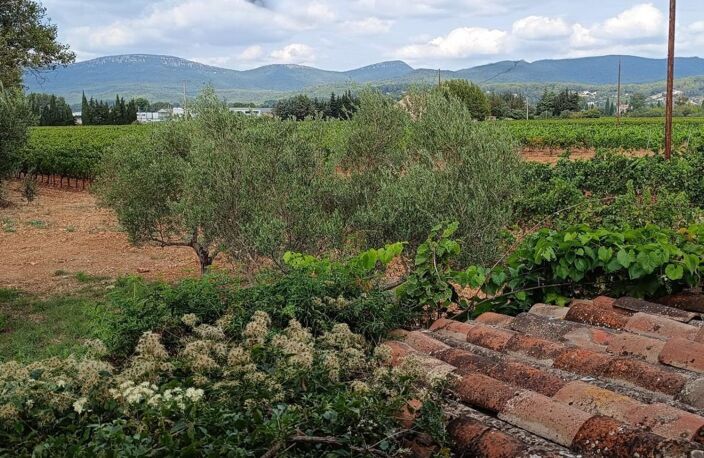 Joli bastidon au cœur des vignes à restaurer — photo 4