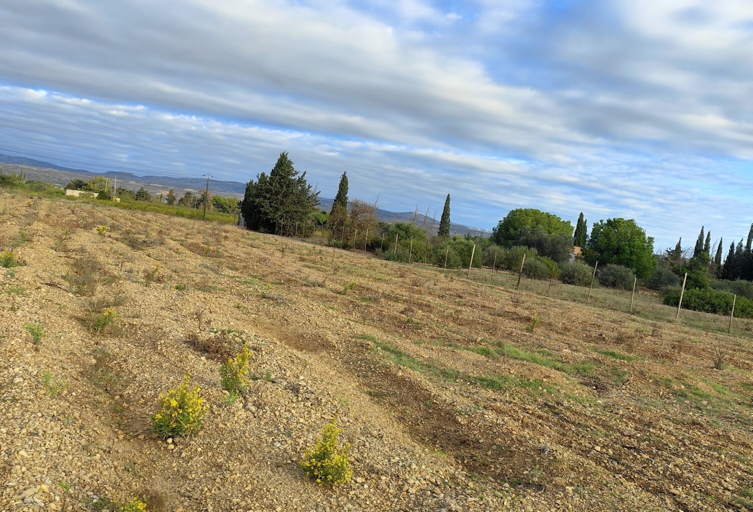 Vente Terrain 3 990 m&sup2; — photo 1