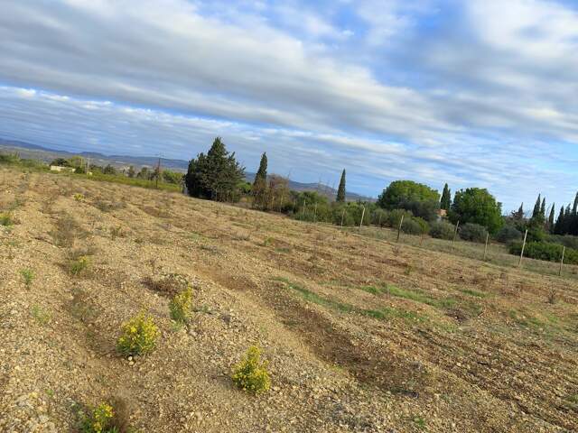 Vente Terrain 3 990 m&sup2; — photo du bien