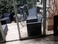 AVIGNON  : EXCLUSIVITÉ — photo 4