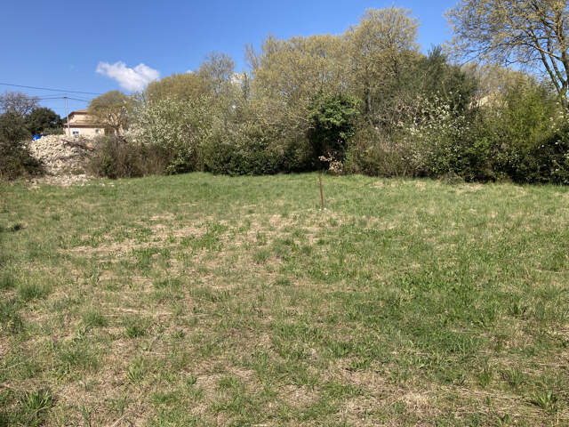 À vendre - Terrain à bâtir- Sauve — photo du bien