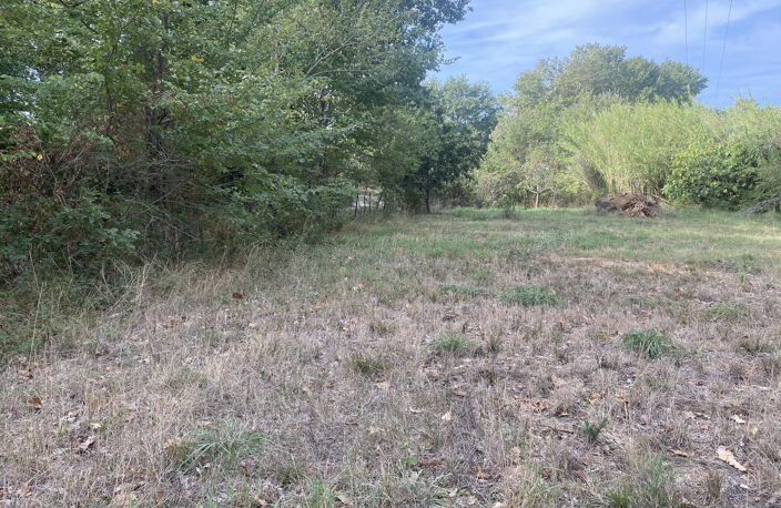 TERRAIN 1500 m2 ET PETIT CABANON — photo 4
