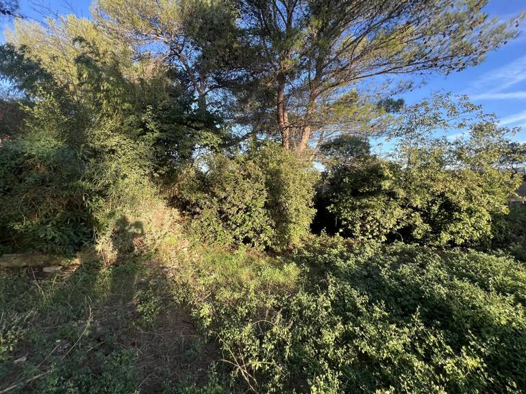 Combas, terrain arboré non constructible, 80.000m² — photo 1