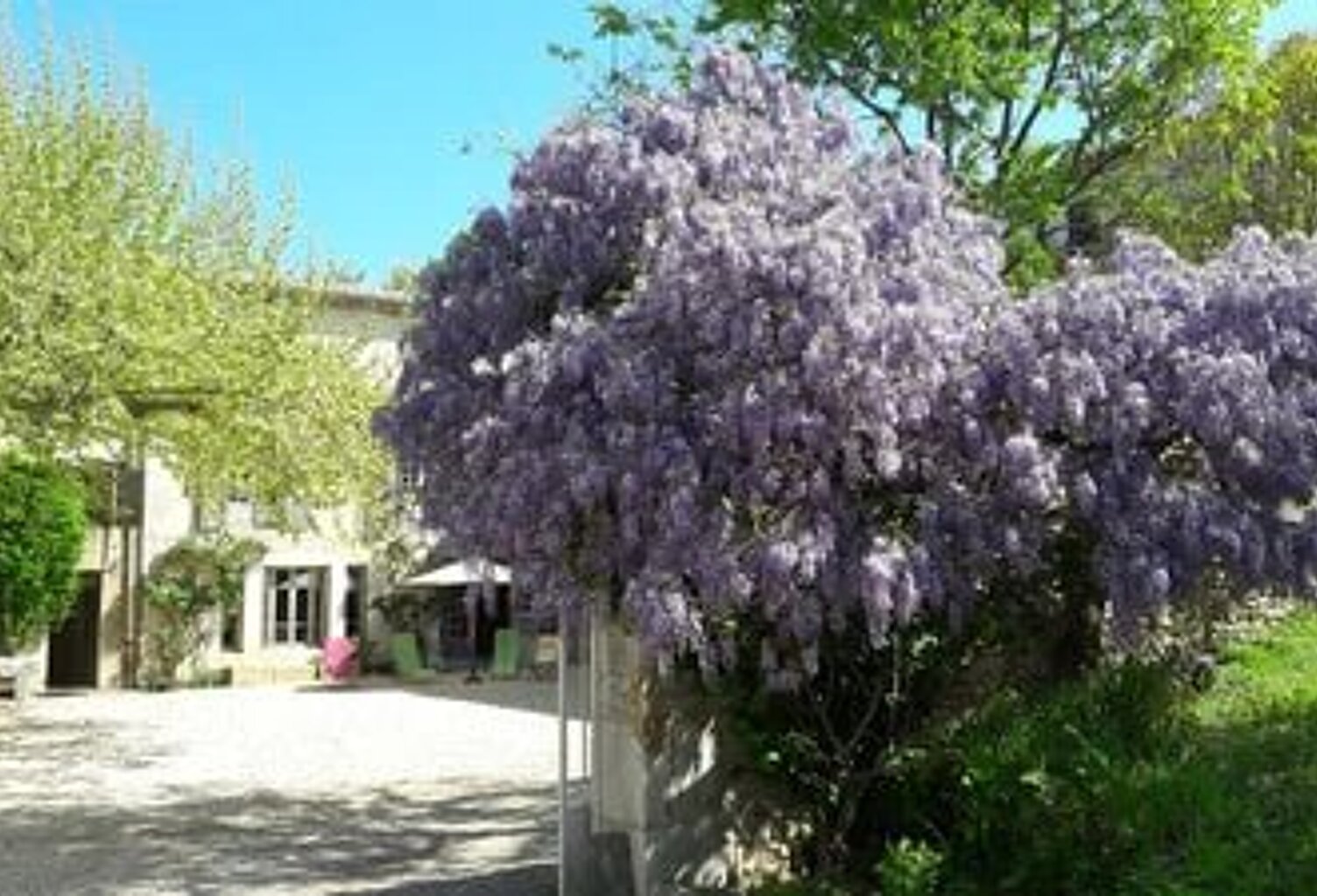 Secteur Anduze / Lédignan, maison de Maître de 300m² avec 500m² de dépendance viticole sur 7.000m² + piscine — photo 1