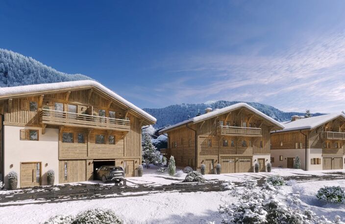 Praz-sur Arly, appartement T6 en triplex, 5chs, garage, jardin 200m² — photo 3