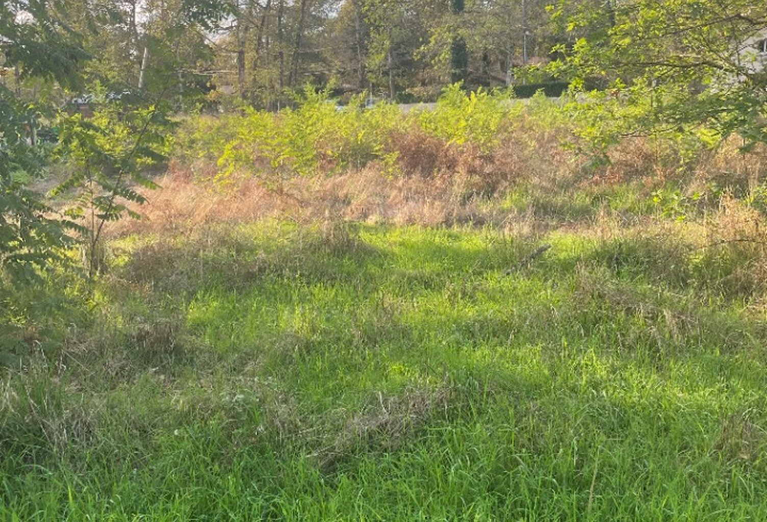 Terrain à bâtir à Le Barp (33114) — photo 1