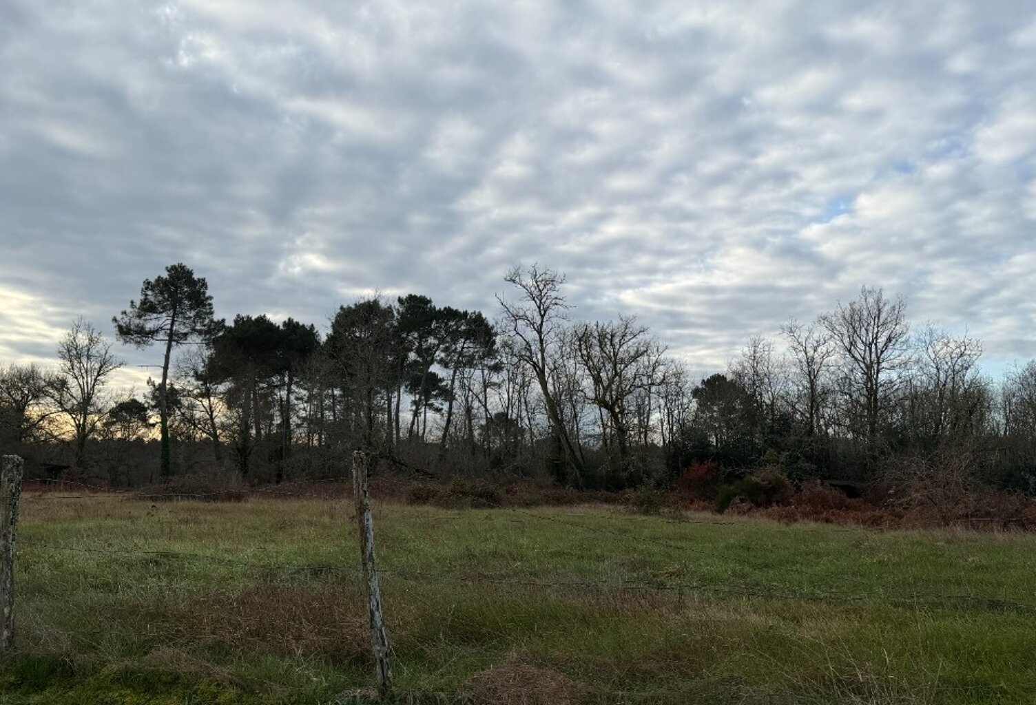Terrain à bâtir à Roaillan (33210) — photo 1