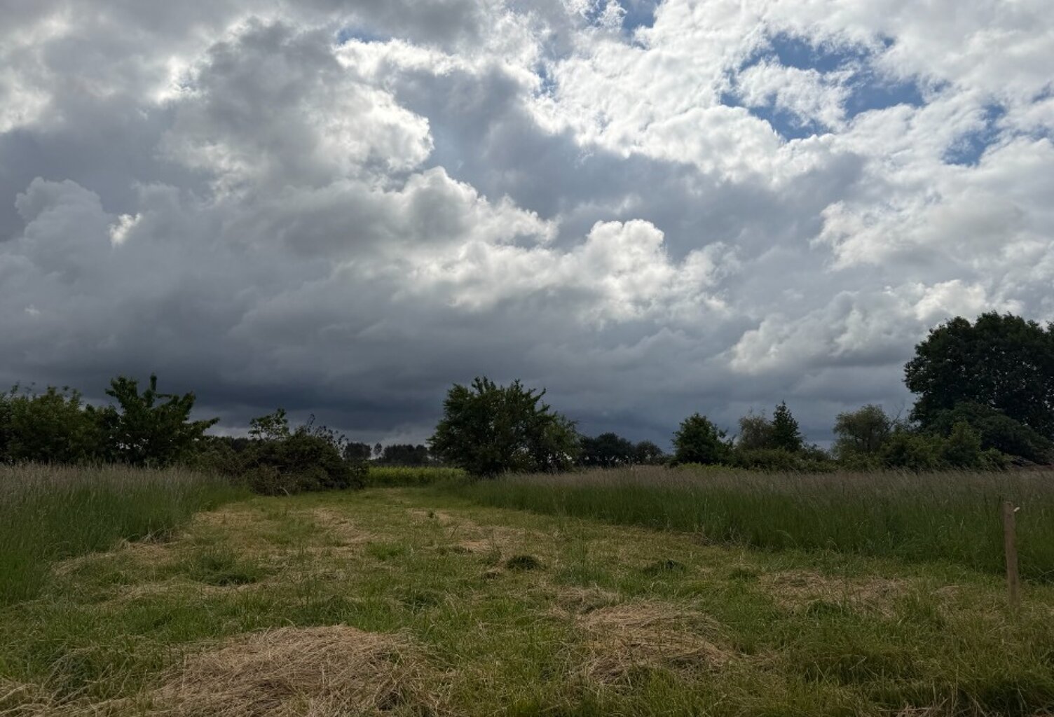 Terrain à bâtir à Saint-Pierre-de-Mons (33210) — photo 1