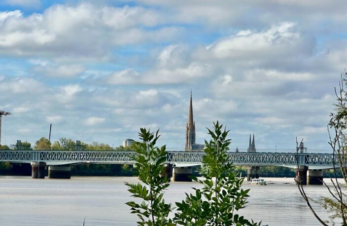 Bordeaux – Appartement de 90 m², 2 chambres, jardin privatif et sous-sol — photo 5