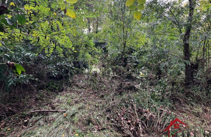 Terrain 800m2 — photo 5