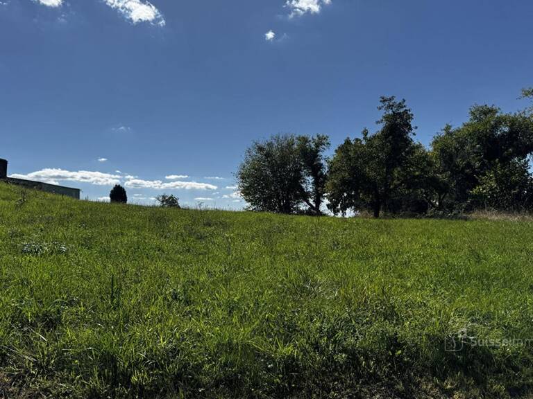 Joli terrain d'un peu plus de 20 ares — photo 1
