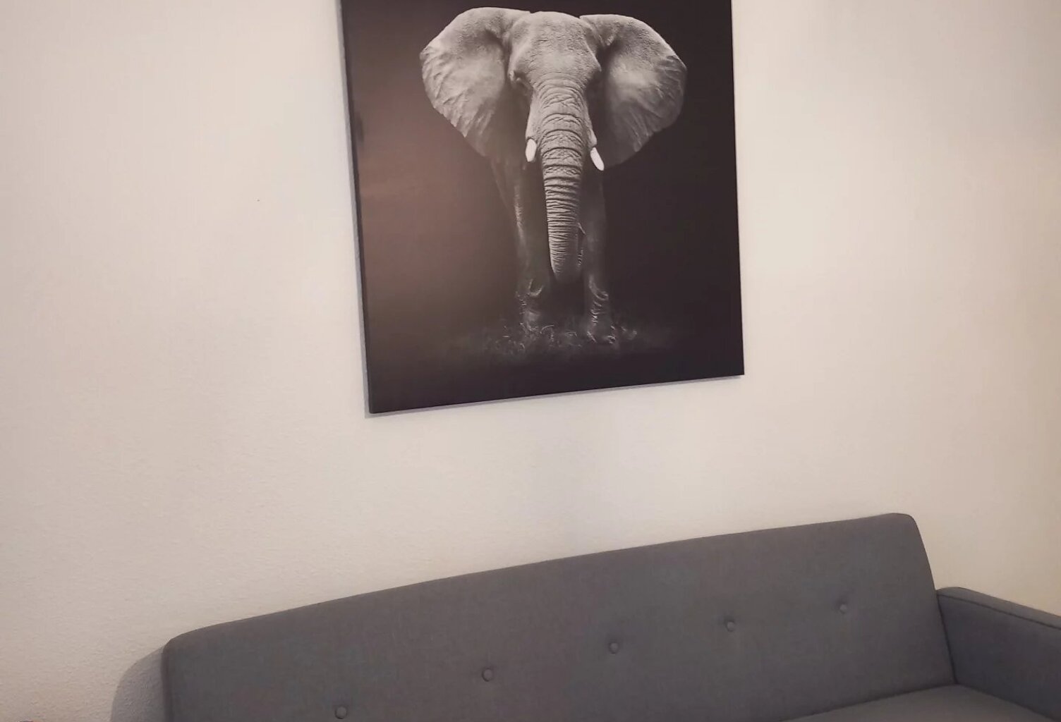 VENELLES STUDIO VIDE — photo 1