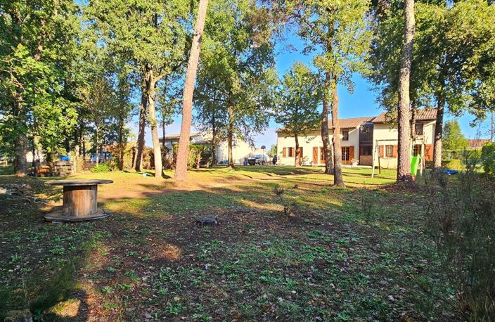 Maison À Vendre, Messemé, 5 pièces, 136 m² — photo 2