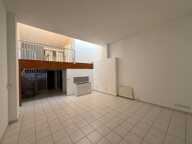 Appartement à Vienne en duplex avec extérieur et garage — photo 3