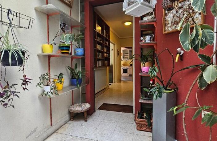 Toulouse Rangeuil, pavillon familial, ÉNORME POTENTIEL!! — photo 3