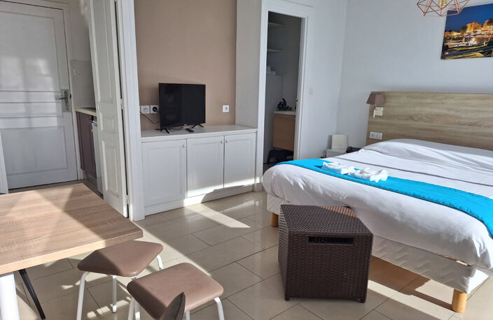 STUDIO 24 M2  VUE MER ROUTE DES  SANGUINAIRES — photo 4