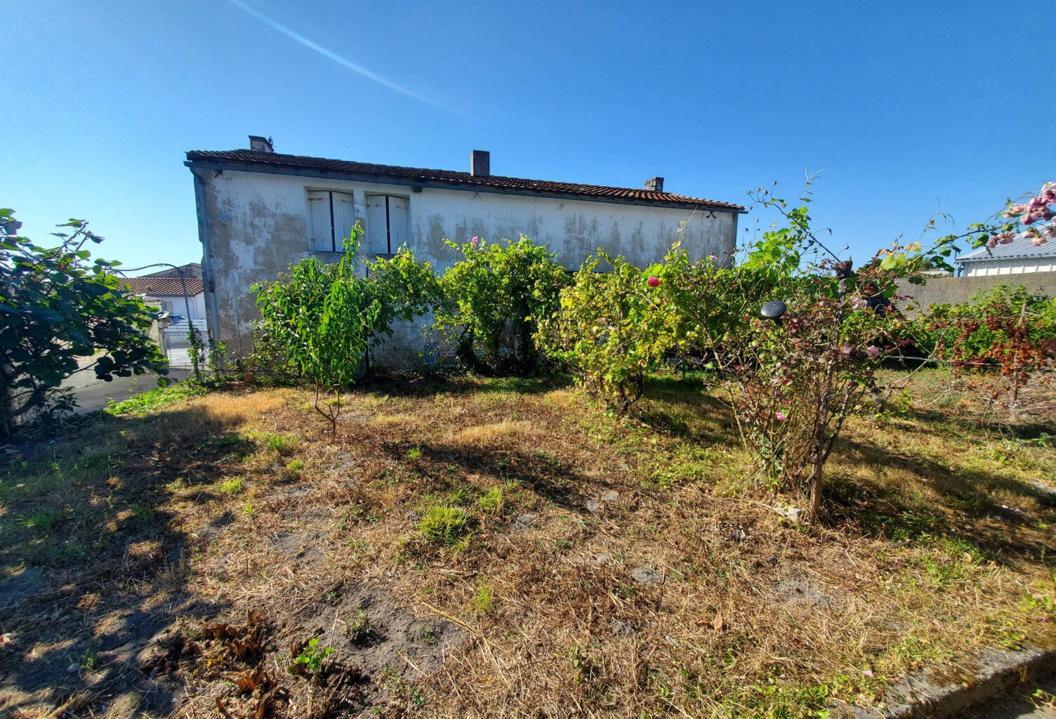 Maison 100 m2 + dépendances 17120 Semussac — photo 1