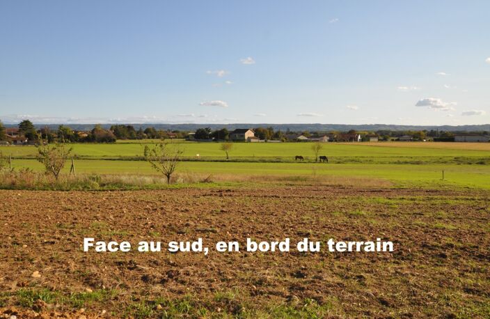 Terrain 1000 m²  PACT (38) — photo 4
