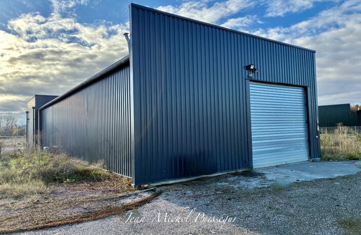 à vendre MONTREJEAU (31), Entrepôt et Bureaux de 250m2 Terrain 5900m2, Entrée Autoroute — photo 3