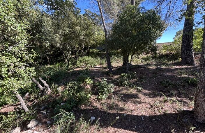 Vente maison à construire 100 m² Saint-Maximin-la-Sainte-Baume (83470) — photo 2