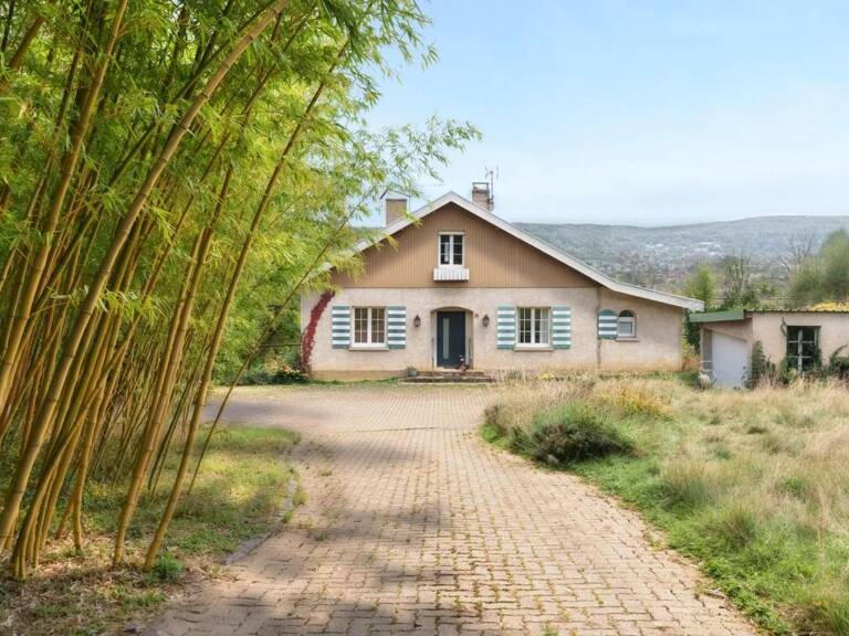 VESOUL – UNE MAISON FAMILIALE AUX VOLUMES EXCEPTIONNELS — photo 1