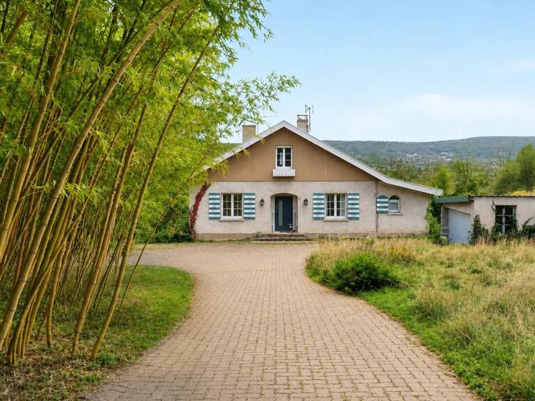 VESOUL – UNE MAISON FAMILIALE AUX VOLUMES EXCEPTIONNELS — photo 1