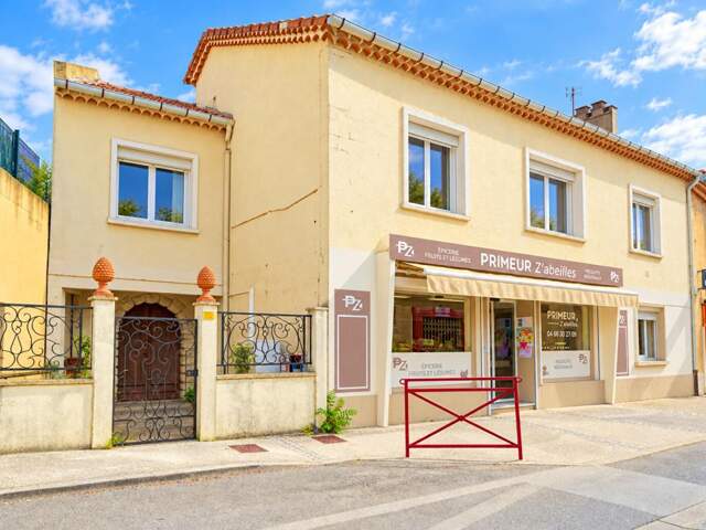 Salindres - Ensemble immobilier  - Appartement + Local commercial loué — photo du bien