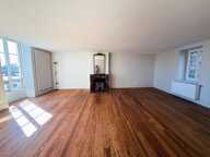 A VENDRE BEL APPARTEMENT ANNEES 1900 BORD DE LOIRE ROANNE 42300 — photo 3