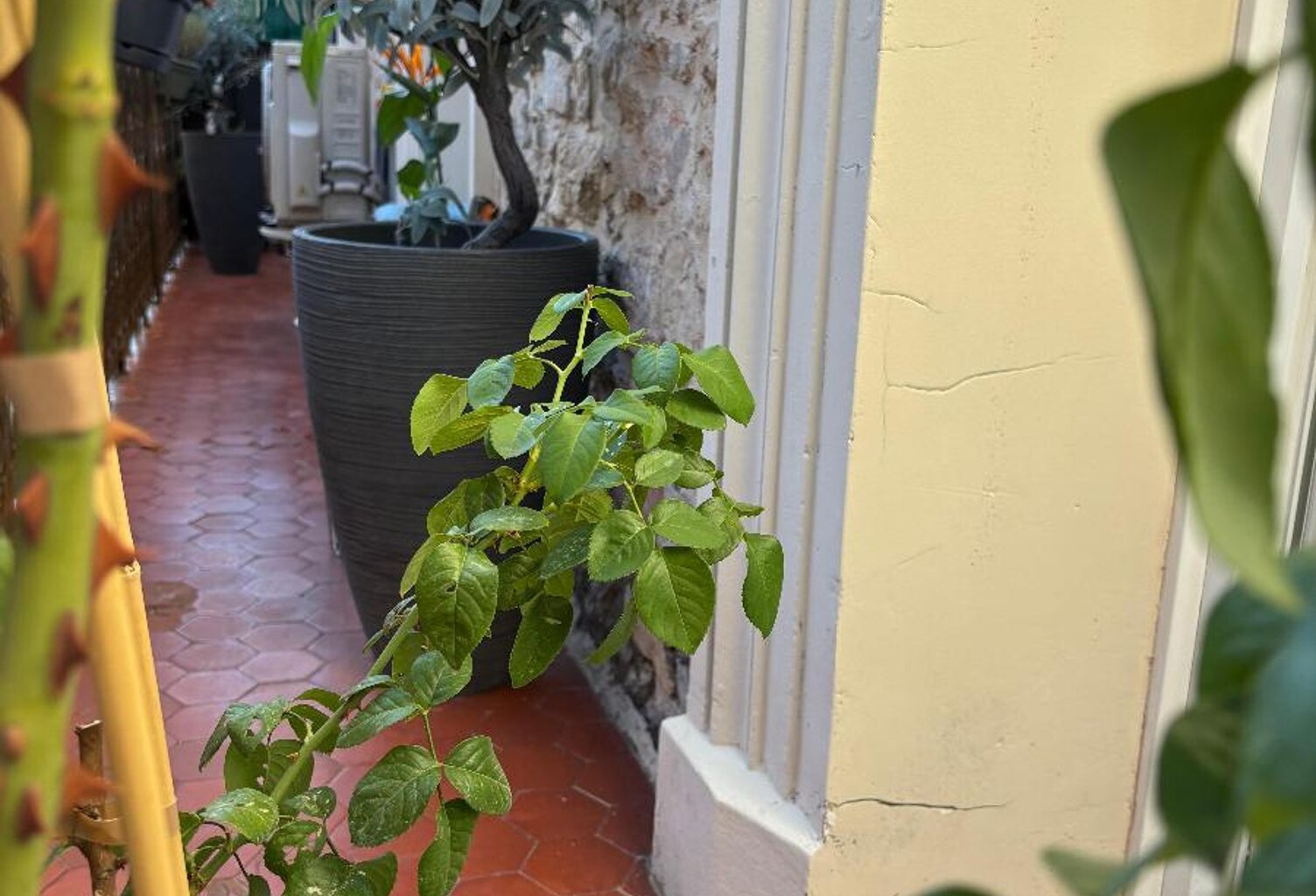 Vente appartement 2 pièces 52 m² Draguignan (83300) — photo 1