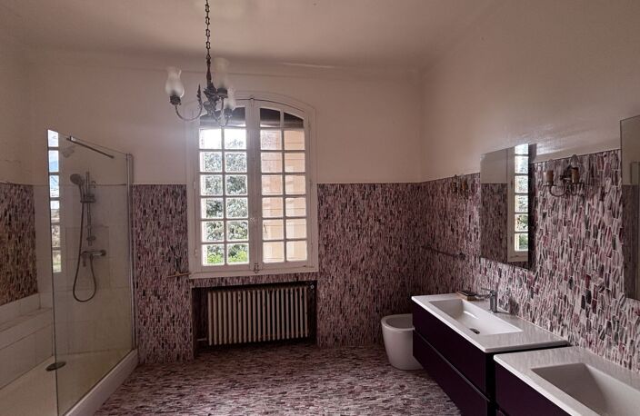 Maison DE MAITRE EN CAMARGUE — photo 2