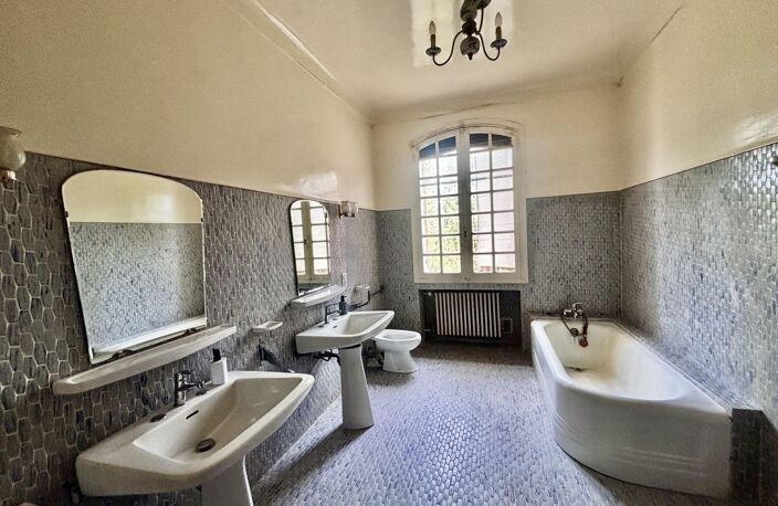 Maison DE MAITRE EN CAMARGUE — photo 4