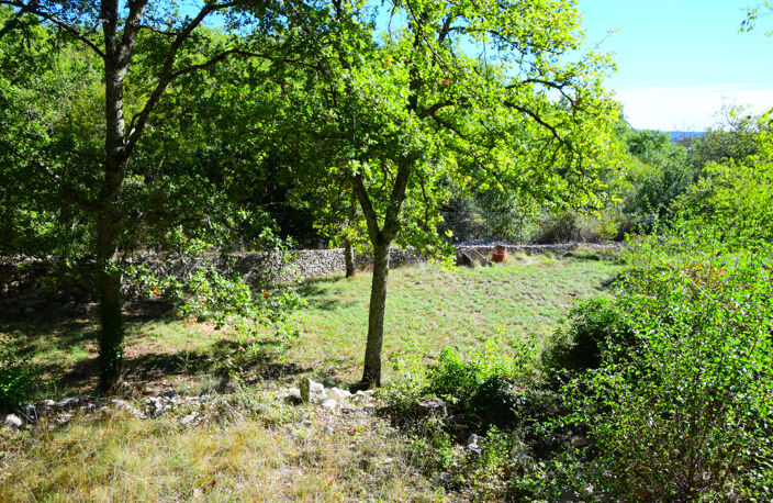 Dépt. 07 - A VENDRE à LANAS - Maison de 262 m2 - Parcelle de — photo 4