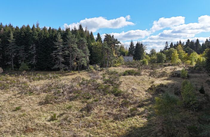 Vente terrain  17120 m² Saint-Germain-l'Herm (63630) — photo 2