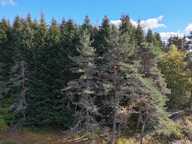 Terrain à construire  17120 m²  — photo 3