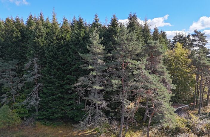 Vente terrain  17120 m² Saint-Germain-l'Herm (63630) — photo 3