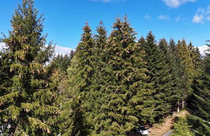 Vente terrain  17120 m² Saint-Germain-l'Herm (63630) — photo 4