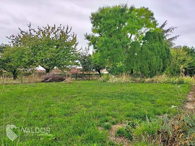 Donnez vie à votre projet de construction au cœur de Villeneuve ! — photo du bien