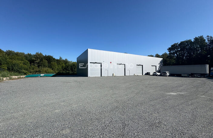 LOCAL COMMERCIAL / PROFESSIONNEL / PARKING - NOTRE-DAME-DE-BONDEVILLE - 400 m² — photo 2