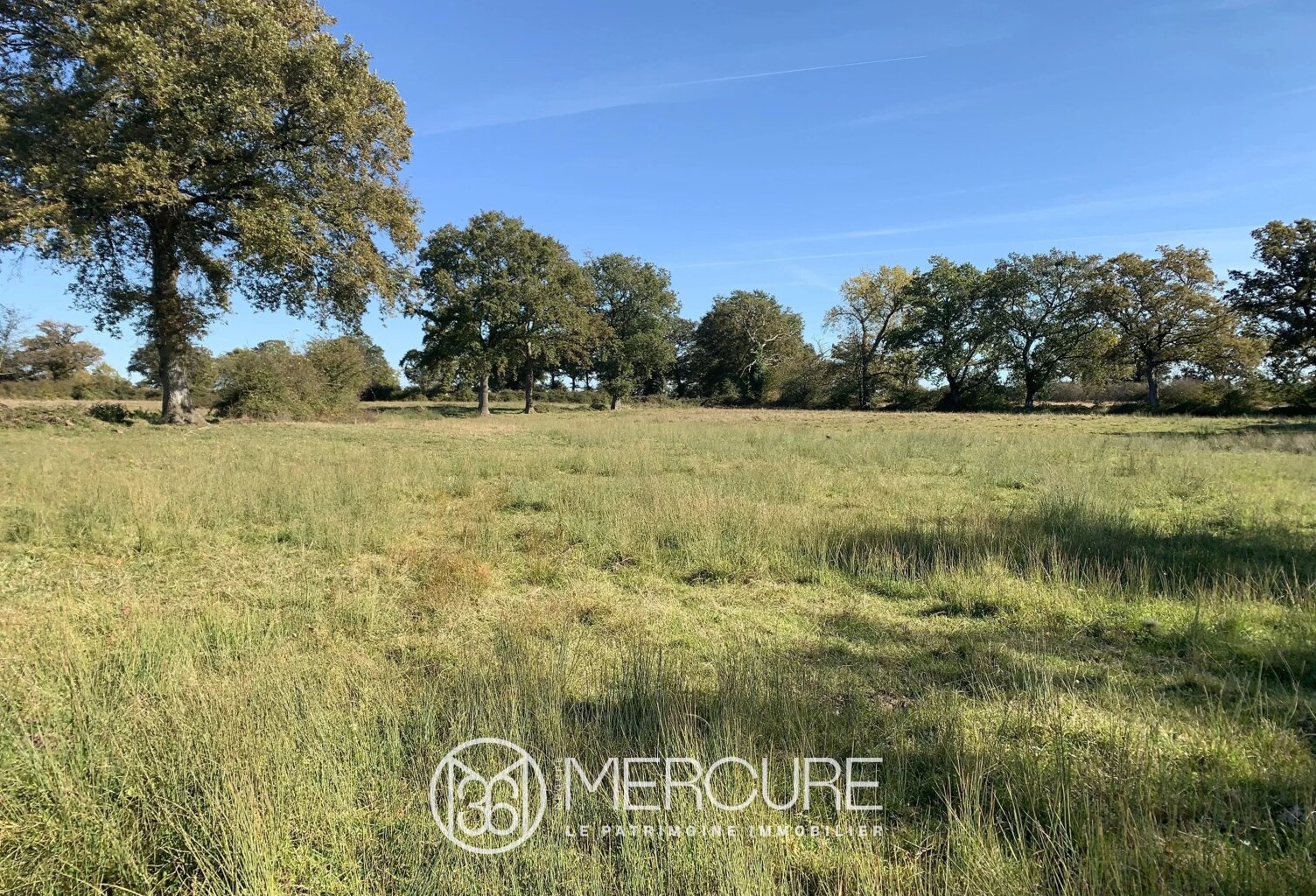 Domaine agricole de 145 hectares avec projet photovoltaïque auto — photo 1